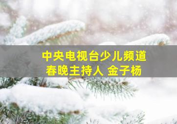 中央电视台少儿频道春晚主持人 金子杨